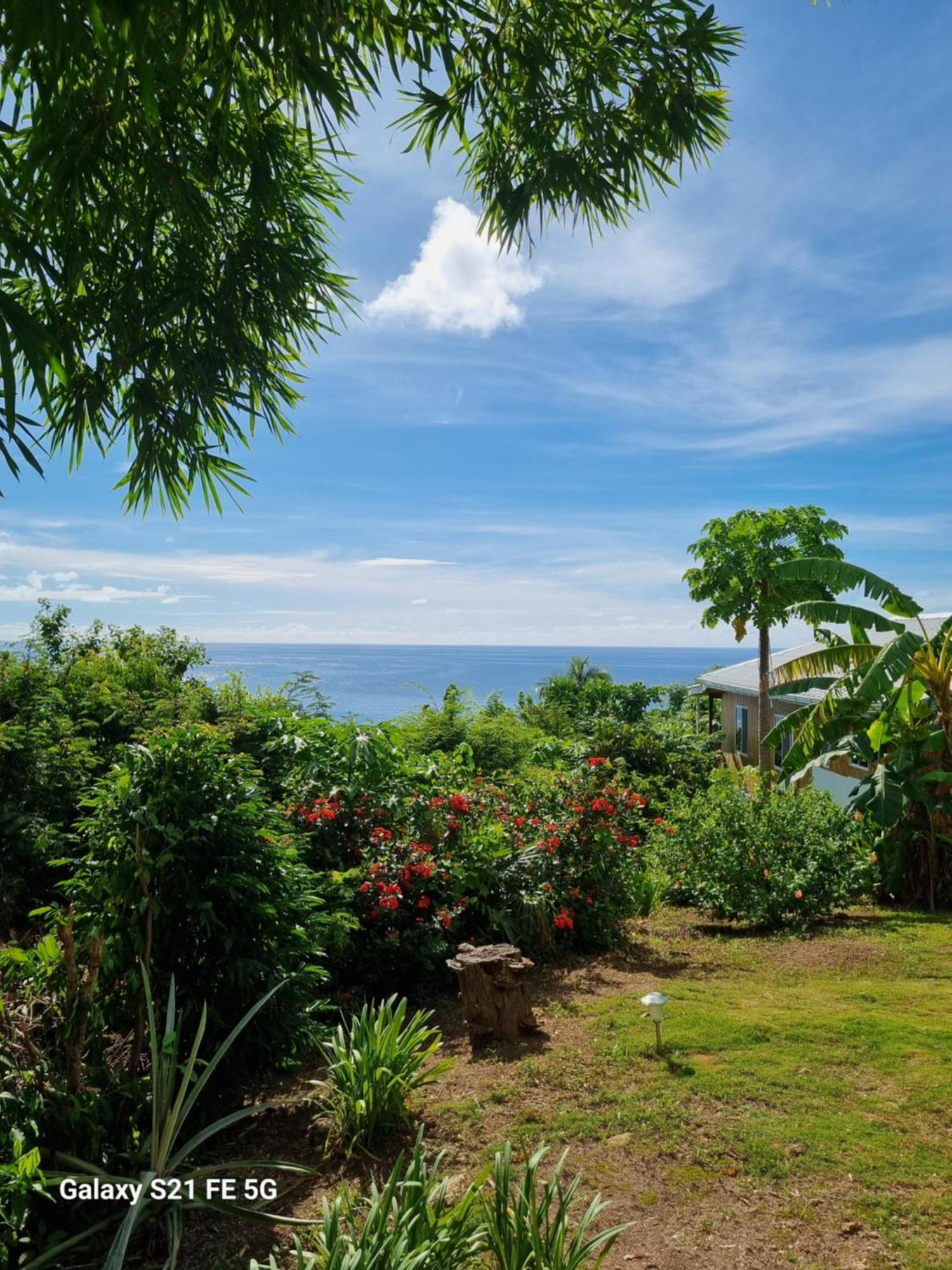 Frenchy'S Villa Aguadulce Bagian luar foto